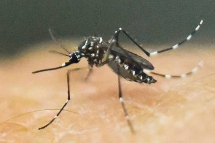 Govt alerts states as Zika cases rise, focus on pregnant women