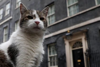 UK’s new PM Keir Starmer gets detailed list of demands from the official resident cat at 10 Downing Street